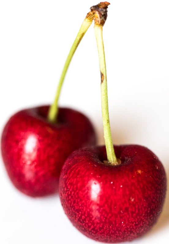 Cherry — Prunus spp.