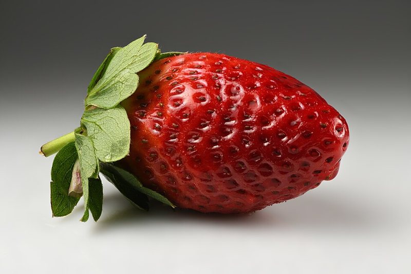 Strawberry — Fragaria spp.
